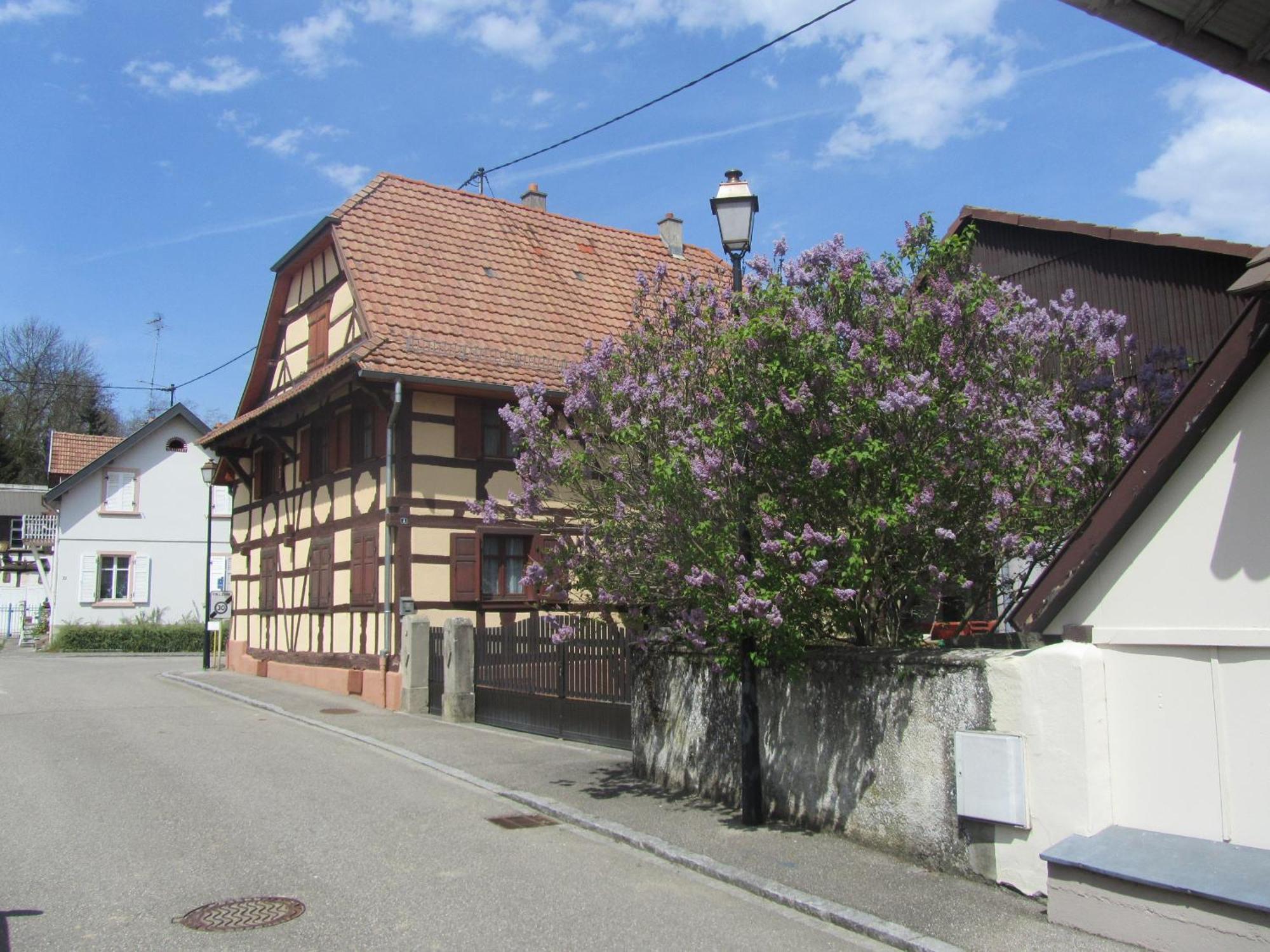 Logis Hotel Restaurant Au Lion Rouge Bartenheim Exterior photo